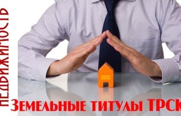 В выпуске №13